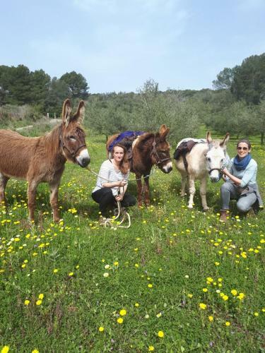 Agroturismo Finca Can Paulino