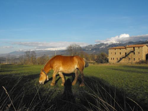Agroturismo Cal Trisca