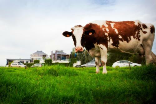 Van Der Valk Hotel Drongen