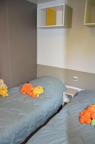 Camping Les Mijeannes