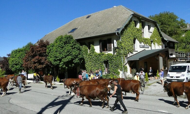 Hotel Auberge Camelia