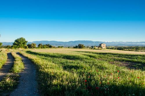 Agroturismo La Torre Del Codina