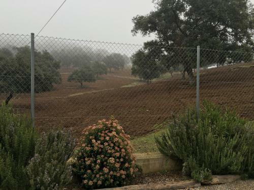 Agroturismo Casa Rural Nacimiento Del Hu�znar
