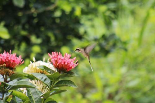 Agroturismo Caba�as Praba