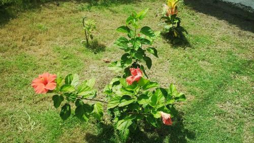 Agroturismo Caba�as Praba