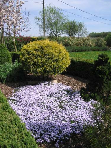 B&B Hoeve Ransberg