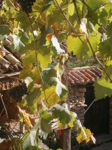 Agroturismo Casa Rural Manzanela