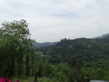 Agroturismo Urrezko Ametsa