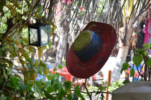 Hostal Pousada Canavial Beach-bar