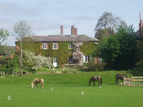 Agroturismo Lower Buckton Country House