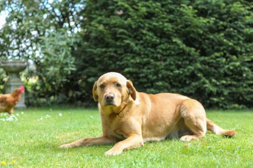 Agroturismo Lower Buckton Country House