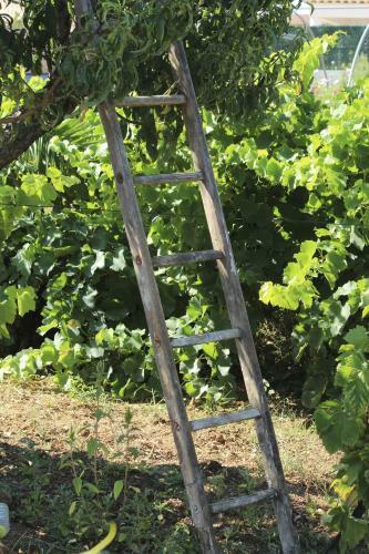 Bed & Breakfast Les Vignes 83