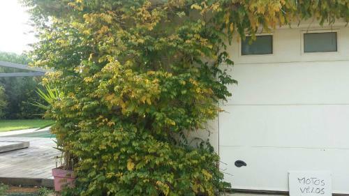 Bed & Breakfast Les Vignes 83