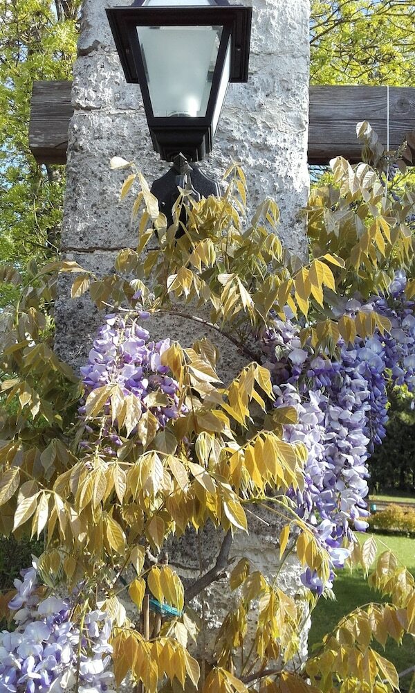 Bed & Breakfast Le Moulin � Grains