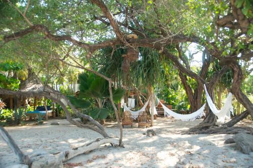 Sue�o Del Mar B&B