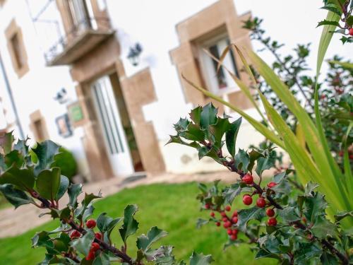 Agroturismo Casa Rural El Balc�n De Tera