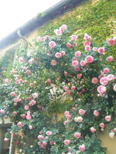 Bed & Breakfast Porte De Paris