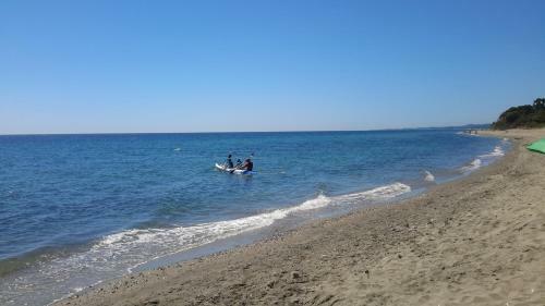 Pinea Mare