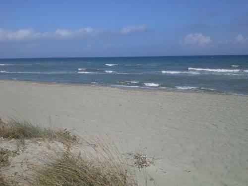Pinea Mare