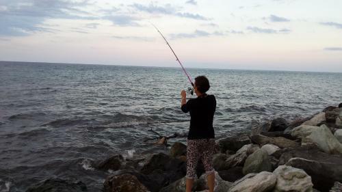 Pinea Mare
