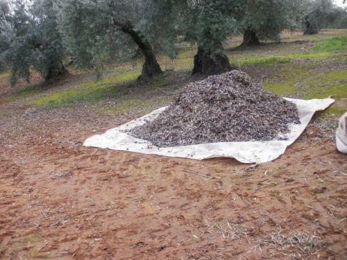 Agroturismo Cortijo Molino San Juan