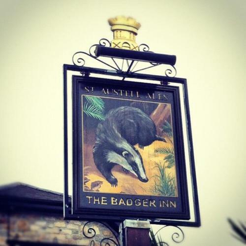 Posada The Badger Inn