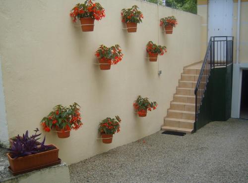 Hotel Des Fleurs