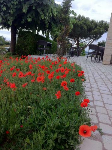 Hotel H�tel Des Chateaux