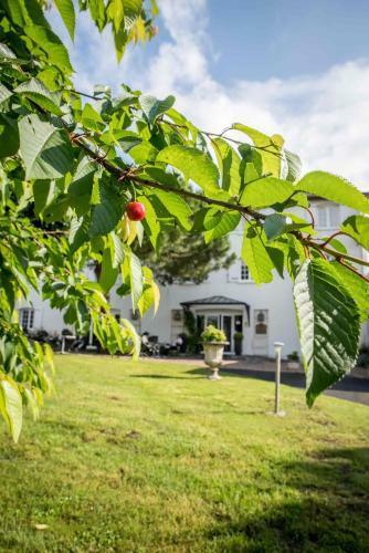 Hotel H�tel Des Chateaux