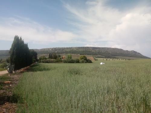 Agroturismo Cortijo Ferradores