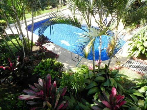 Bed & Breakfast Hotel Mango