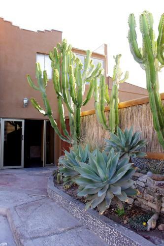 Hotel Atacamalodge