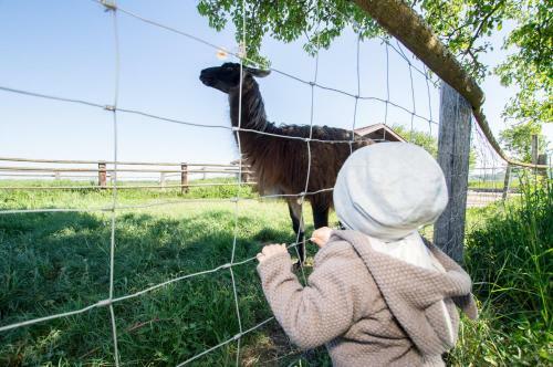 Agroturismo Sonnenblumenhof