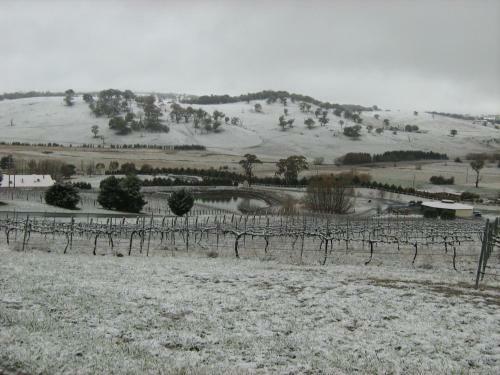 Turners Vineyard Motel