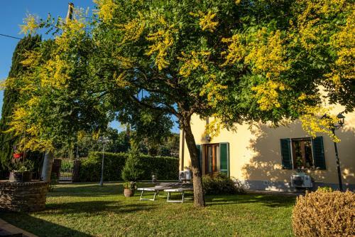 Agroturismo B&B La Serra