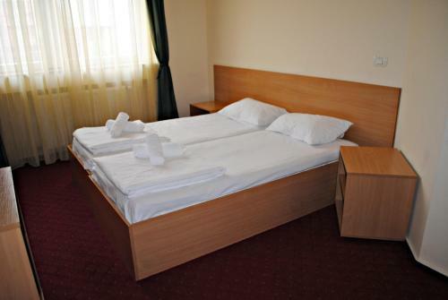 Hostal Casa Tineretului