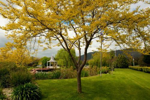 Lakeside Cottage Luxury B&B