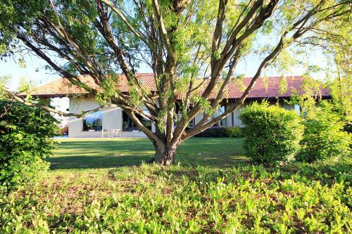 Bed And Breakfast Gea