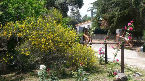 Agroturismo Casa Solotti
