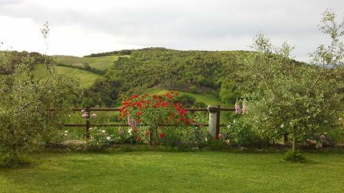 Hostal Casa Crevole