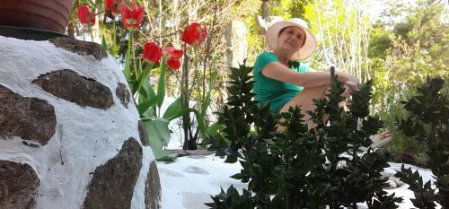 B&B Molino Del Gobbo