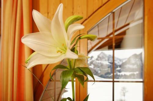 Hostellerie Am Schwarzsee