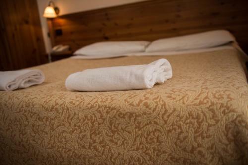 Hotel Albergo Meubl� Vecchio Scarpone