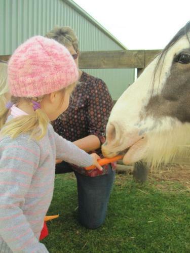 Bed & Breakfast Cabarita Lodge