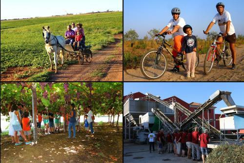 Agroturismo Retrato Da Mem�ria-casa De Campo