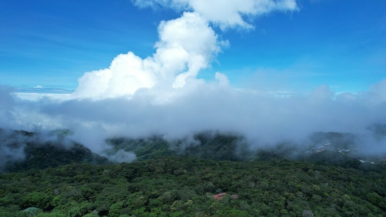 Hotel Heliconia