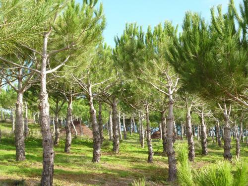 Apartamento Quinta Raposeiros