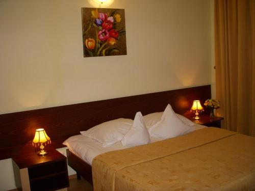 Hotel Decebal