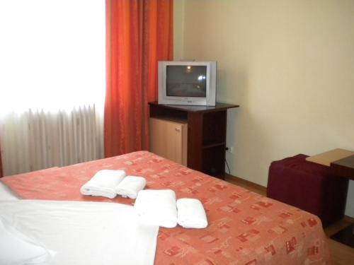 Hotel Decebal