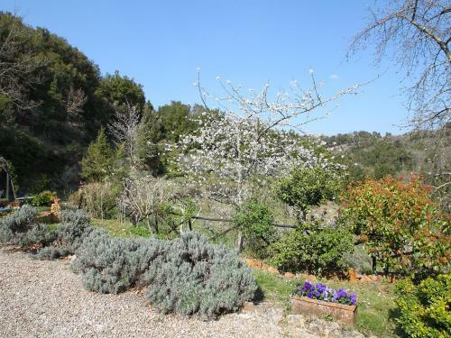 Holiday Home Il Casale Monticiano